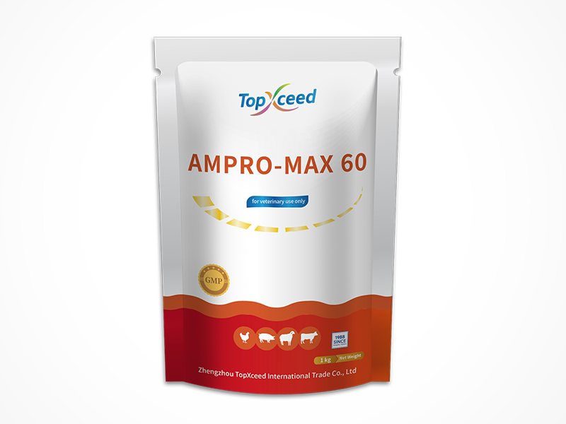 AMPRO-MAX 60