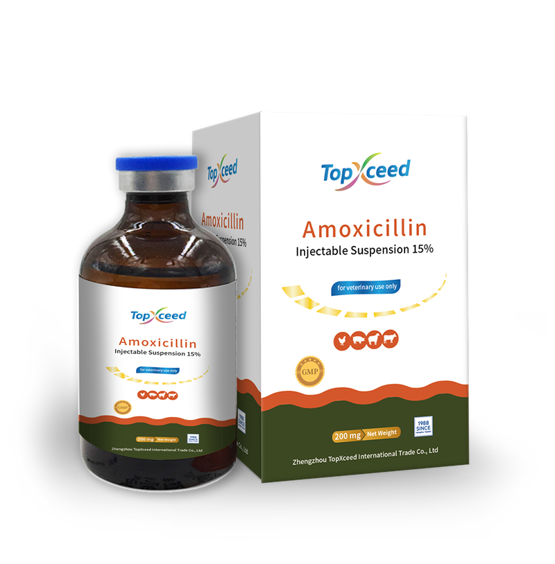 Amoxicillin 15% Injection.docx
