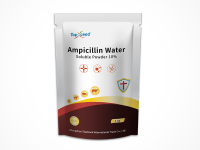 Ampicillin Soluble Powder 10%