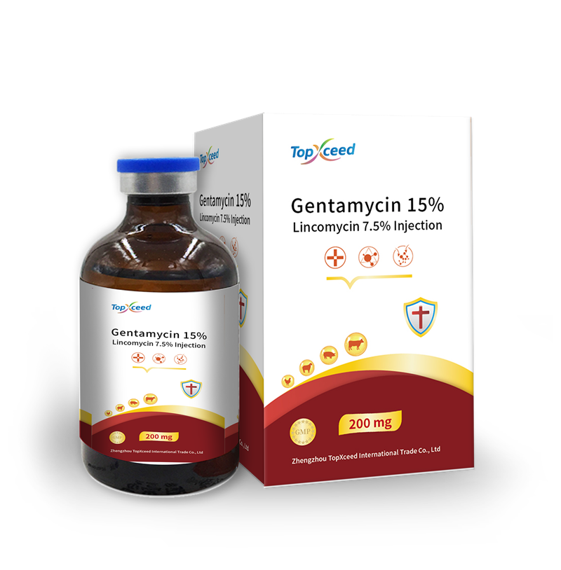 Gentamycin & Lincomycin Injection