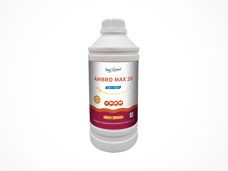 AMBRO MAX 20