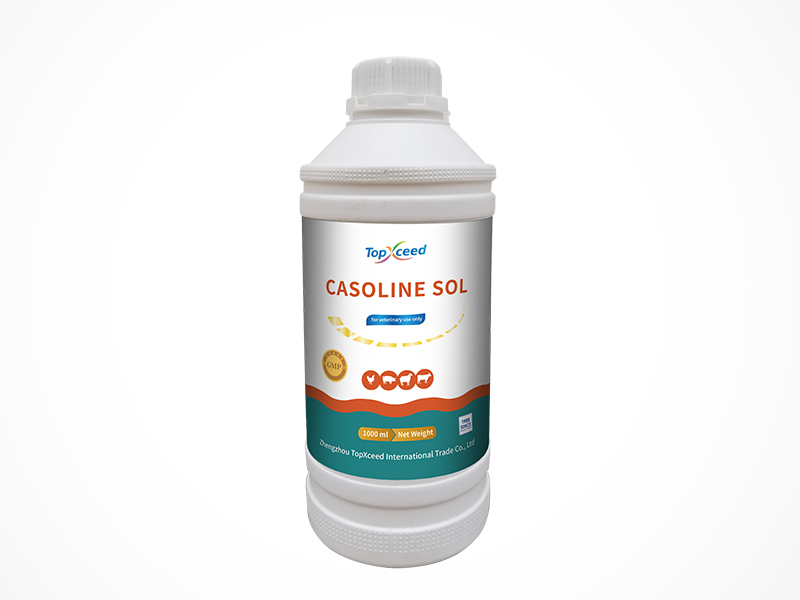CASOLINE SOL.