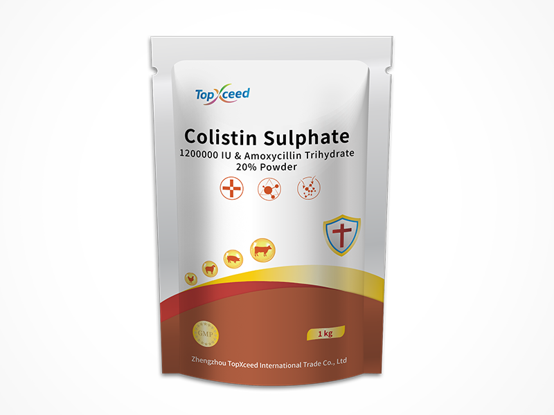 Colistin Sulphate & Amoxycillin Trihydrate Soluble Powder