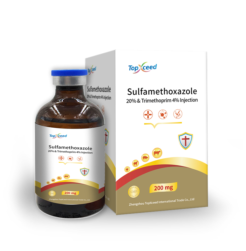 Sulfamethoxazole 20% & Trimethoprim 4% Injection