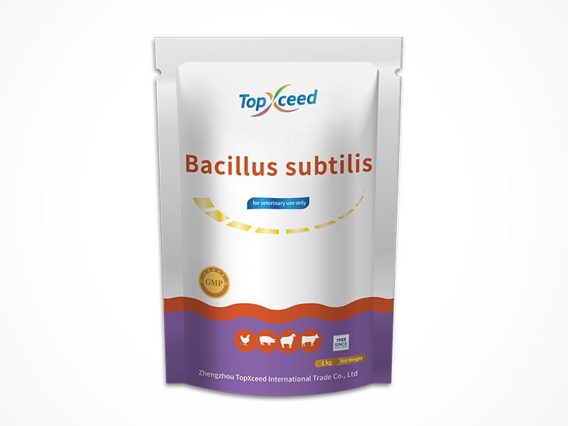 Bacillus subtilis