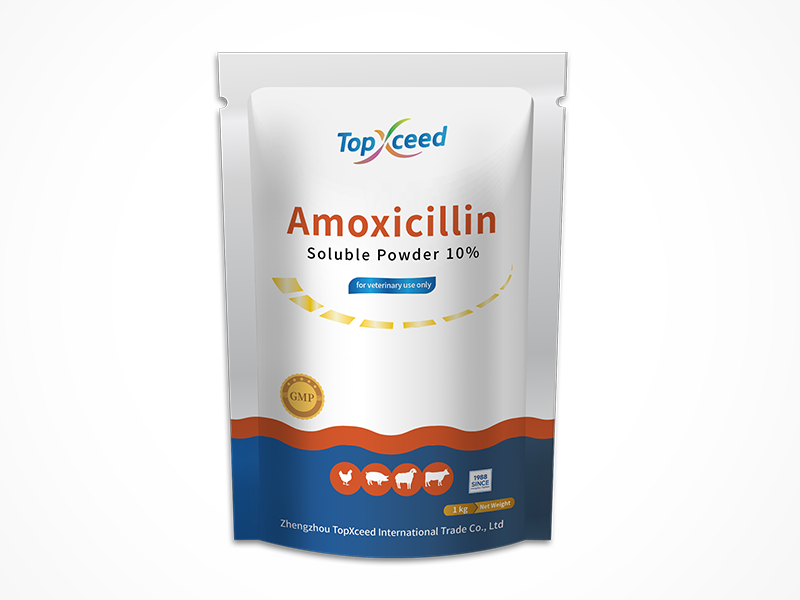 Amoxicillin Soluble Powder 10%
