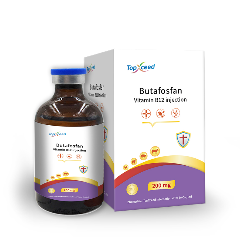 Butafosfan & VB12 Injection