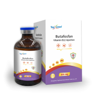 Butafosfan & VB12 Injection