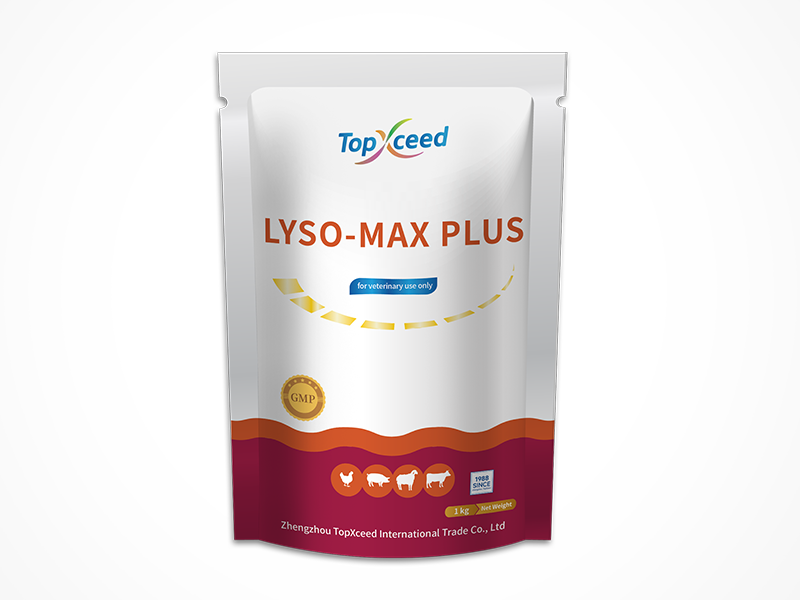 LYSO-MAX PLUS