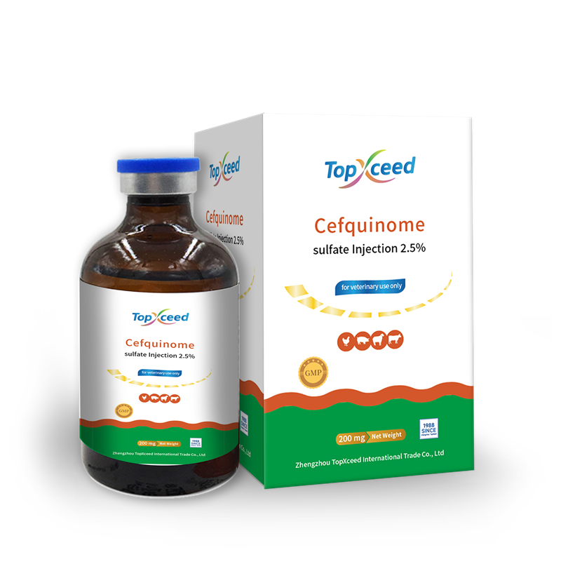 Cefquinome Injection 2.5%