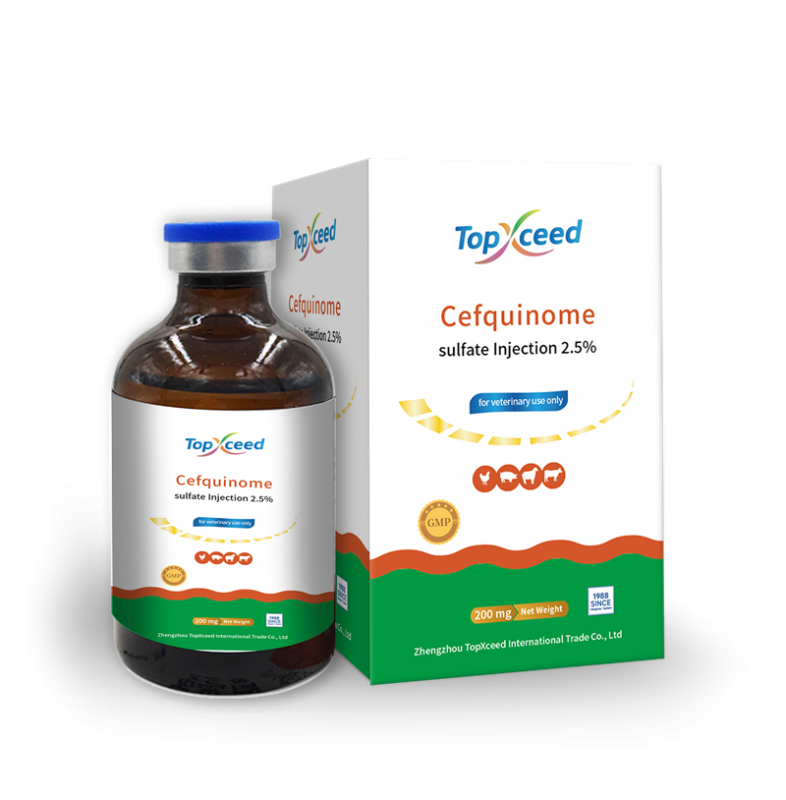 Cefquinome Injection 2.5%