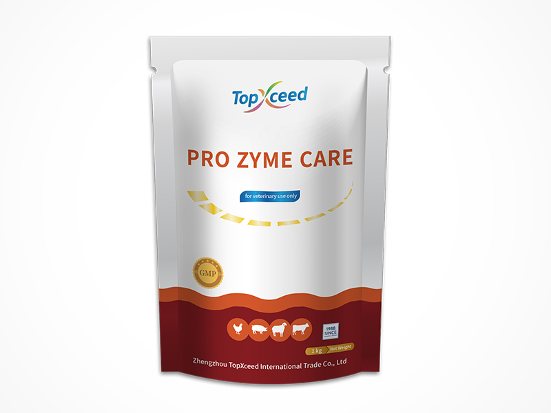 PRO ZYME CAR