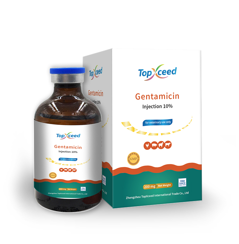 Gentamicin Injection 10%