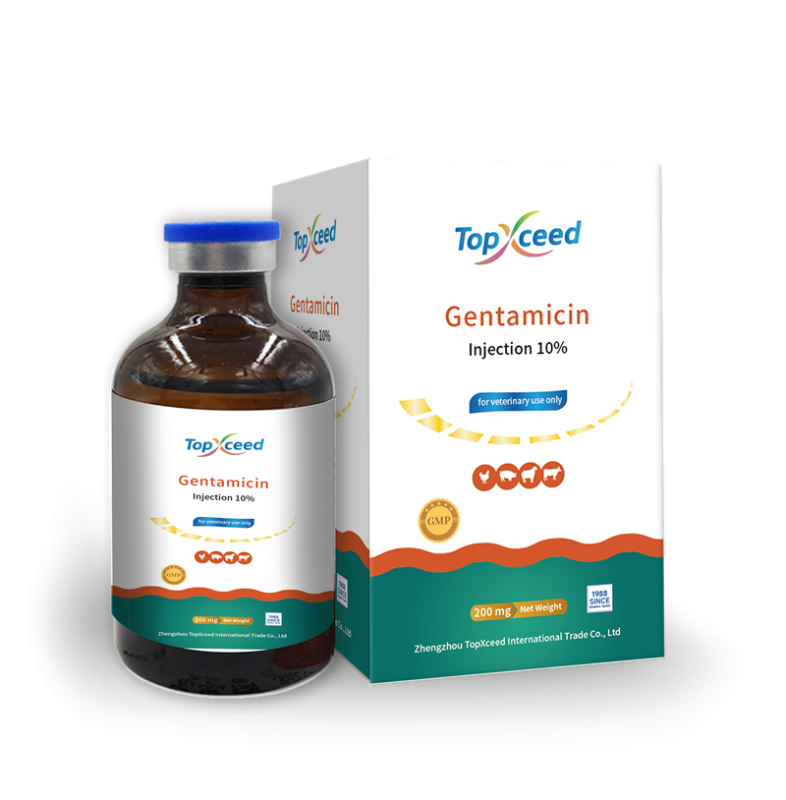 Gentamicin Injection 10%