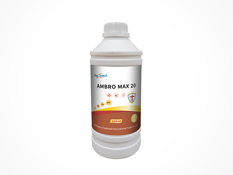 AMBRO MAX 20
