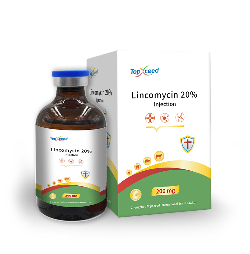Lincomycin 20% Injection