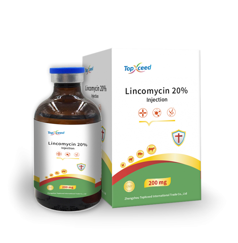 Lincomycin 20% Injection